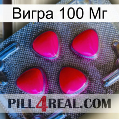 Вигра 100 Мг 13